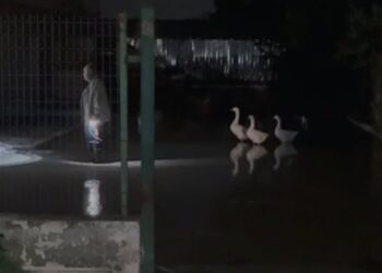 Rritja e madhe e nivelit të lumit Vjosa rrezikon daljen nga shtrati për shkak të motit të keq që goditi vendin.
