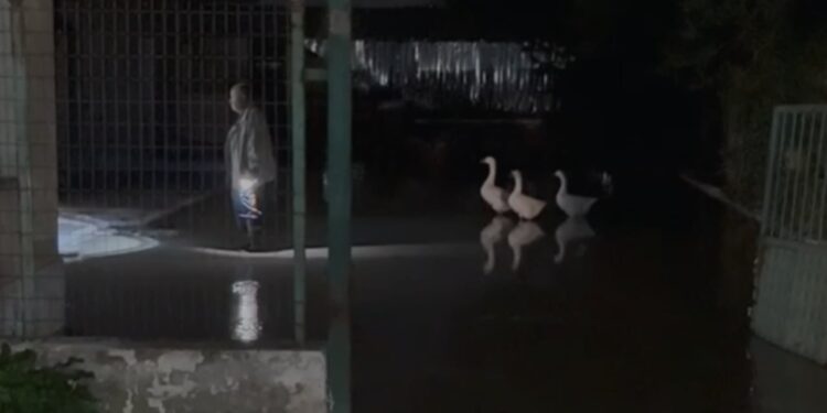 Rritja e madhe e nivelit të lumit Vjosa rrezikon daljen nga shtrati për shkak të motit të keq që goditi vendin.