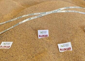 Sërish ndodh, AKU ndalon 75 tonë më shumë misër në Shkodër