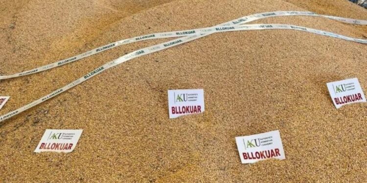 Sërish ndodh, AKU ndalon 75 tonë më shumë misër në Shkodër