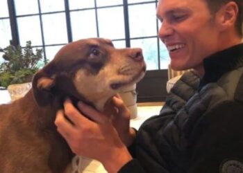 Tom Brady imiton qenushen e tij Lua: Por nuk do të jetë asnjëherë si ajo… kritikat shpërthejnë.