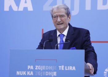 VIDEO/ Gafa e Berishës para gazetarëve: Gilmando Dani, asistenti i Ervin Salianjit
