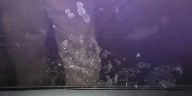 Vajza 2-vjeçare vdes pas shpërthimit në flakë të makinës, babai kishte lënë të voglën brenda ndërsa shihte video për të rritur.