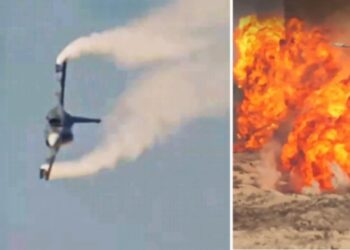 Video/ Rrëzimi i avionit luftarak në Panairin Ajror të Dubait, momenti tragjik ku humbi jetën piloti