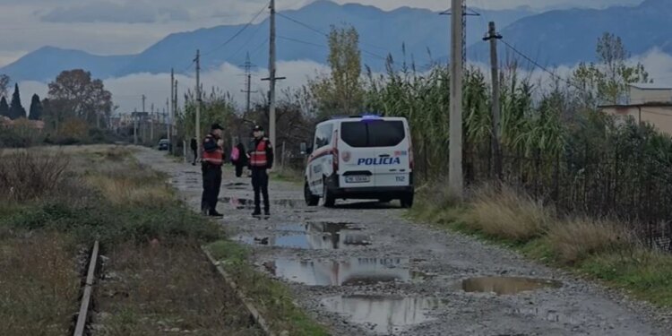 20-vjeçari me armë zjarri, arrestohet në Shkodër