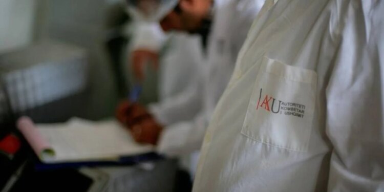 51 ton misër nga Serbia bllokohet për shkak të aflatoksinës, numri i kamionëve të ndaluar arrin në 15