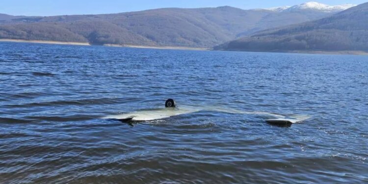 Aeroplani crashes në Maqedoninë e Veriut, dy shqiptarë plagosen