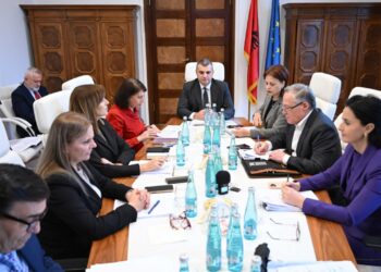 Banka e Parë Tërësisht Digjitale në Shqipëri Marr Miratimin e Paraprak nga BSH
