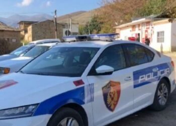Dhuna në familje, burri, gruaja dhe djali arrestohen, kërkohet fëmija tjetër.