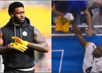 E papritur në futbollin amerikan: një lojtar përleshet me një tifoz dhe e godet në fytyrë.