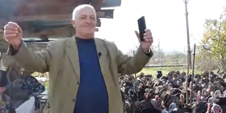 Fermerët nga Baldushku kultivojnë gjelin e detit duke dëgjuar muzikë popullore