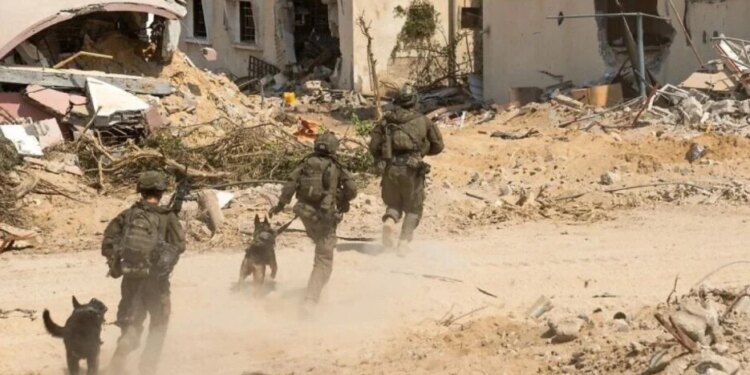 Forcat izraelite vrasin një adoleshent 16-vjeçar në mes të qytetit gjatë bastisjeve në Bregun Perëndimor.