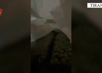Kapja e mbi 1 kg kanabis në formë gjelatine, arrestohet një 23-vjeçar në Tiranë, i trafikuar nga Kanadaja.