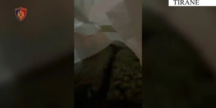 Kapja e mbi 1 kg kanabis në formë gjelatine, arrestohet një 23-vjeçar në Tiranë, i trafikuar nga Kanadaja.