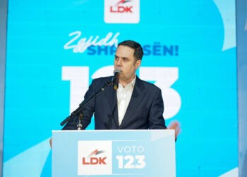 LDK-ja paraqet angazhimet për prindërit