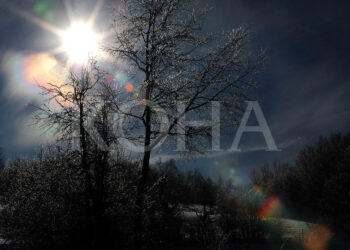 Moti Sot - KOHA.net" could be rewritten as "Moti Today - KOHA.net.