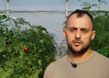 Në serën me 70 lloje domatesh, 27-vjeçari provon shije të reja: Plane për të studiuar tregun dhe…