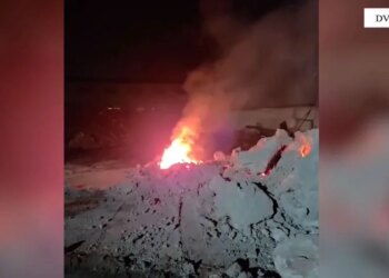 Operacioni në Elbasan, publikohen emrat e të arrestuarve dhe të shpallurve në kërkim