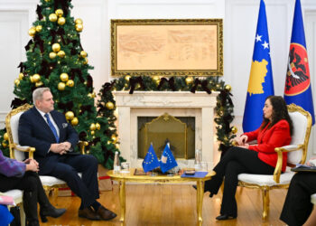 Osmani-Terrasit: Vazhdimi i masave ndaj Kosovës është i paarsyeshëm, i padrejtë dhe i pakuptueshëm.