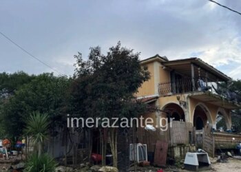 “Qeni i familjes sulmon dhe vret një djalë 2-vjeçar në Shqipëri, babai flet: Djali im më pa, buzëqeshi dhe mbylli sytë përgjithmonë”