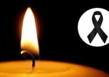 Shokuese: Banoresha e Big Brother ndan rrugët me jetën!