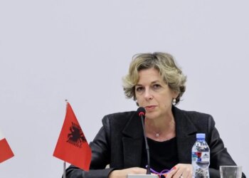 Shqipëria dhe Italia fillojnë bashkëpunimin për shërbimin neonatal: Standardet evropiane në kujdesin për nënat dhe fëmijët.