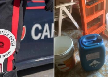 Shqiptari në Itali, i arrestuar në shtëpi, kapet sërish për drogë