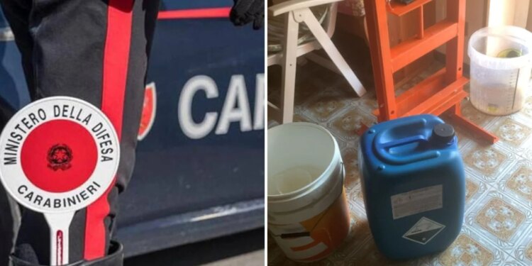 Shqiptari në Itali, i arrestuar në shtëpi, kapet sërish për drogë