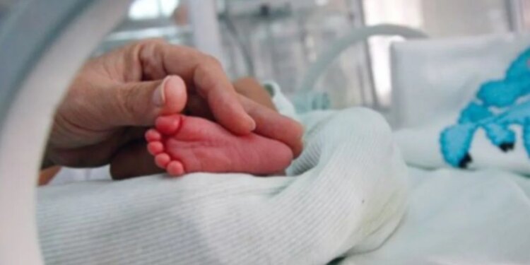 Skandali vazhdon: 18 fëmijë në Greqi nga sperma e një dhuruesi danez, njëri ka ndërruar jetë dhe vëllai lufton me kancer.