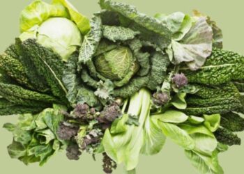 Vitamina që ju nevojitet për trurin, zemrën dhe kockat