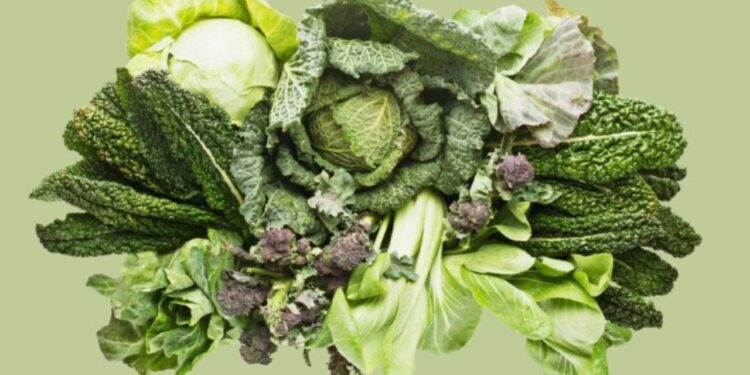 Vitamina që ju nevojitet për trurin, zemrën dhe kockat