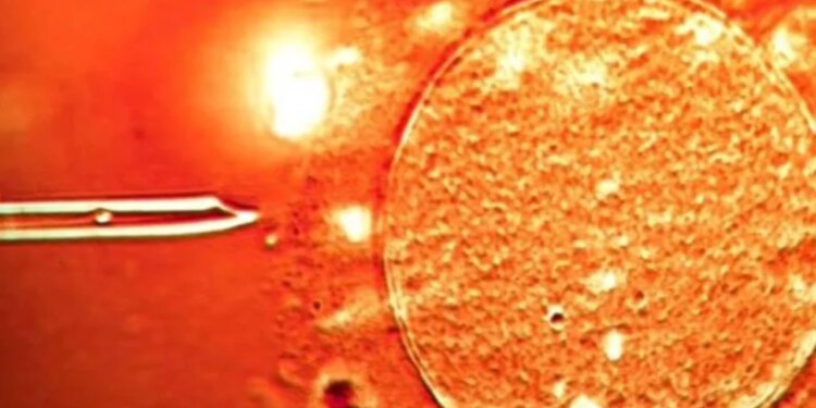 Zbulim befasues: Spermë nga dhurues me kancer e përdorur në Europë, përfshirë Shqipërinë