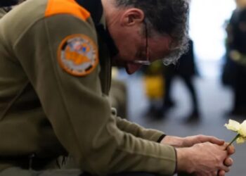 40 persona humbin jetën nga zjarri i shkaktuar nga fishekzjarrët, rajonet e Zvicrës vendosin ndalim për pajisjet piroteknike.