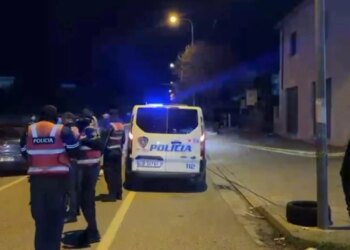 57-vjeçari në Krujë goditet me çekiç; autori dhe dy të tjerë arrestohen për mosinformim të krimit