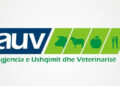 AUV zbardh situatën në lidhje me djathin e ndotur nga aflatoksina