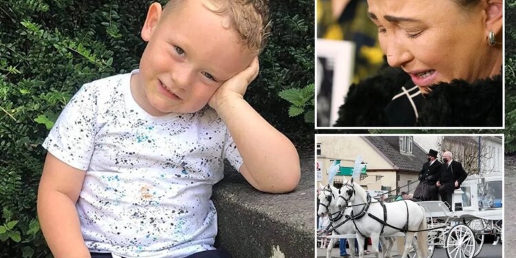 Është ekzekutuar djaloshi 4-vjeçar i partnerit të saj/ Njerka merr dënimin me burg të përjetshëm, babai përpiqet të fshehë ngjarjen.