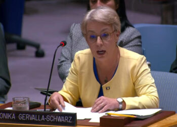 Gërvalla: Serbia nuk kërcënohet nga askush, rreziku vjen nga liderët e saj