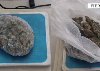 Kapet me doza kanabisi një lokal në Patos, arrestohet 49-vjeçari