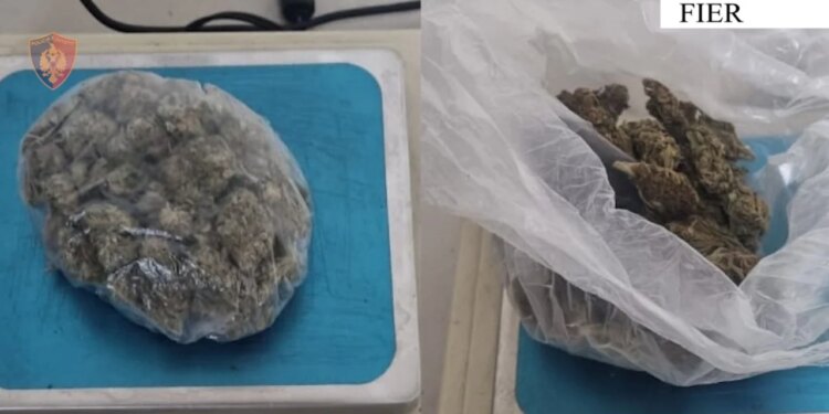 Kapet me doza kanabisi një lokal në Patos, arrestohet 49-vjeçari