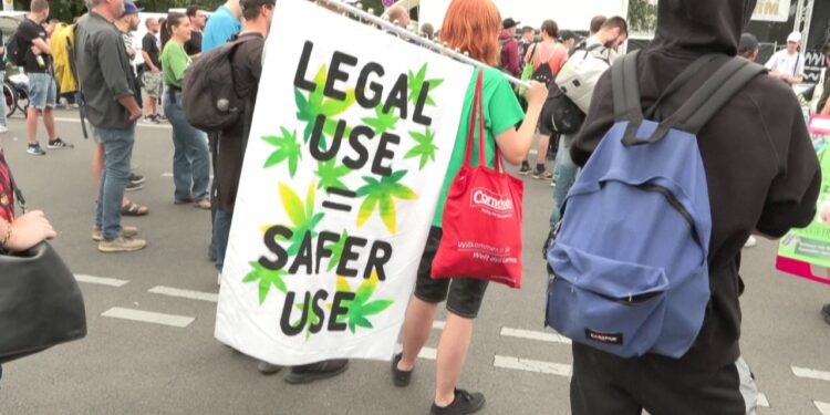 Legalizimi i kanabisit në Gjermani dy vjet më parë: Studimi tregon rritje të rasteve të psikozave tek të rinjtë.