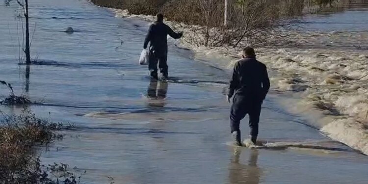 Lumi Seman dhe Shkumbin dalin nga shtrati, prekin rreth 20 shtëpi.