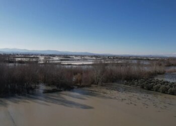 Mijëra hektarë land bujqësore të përmbytura në Lushnjë, uji vazhdon të qëndrojë në gjashtë fshatra. Banorët: Çdo bimë është shkatërruar.