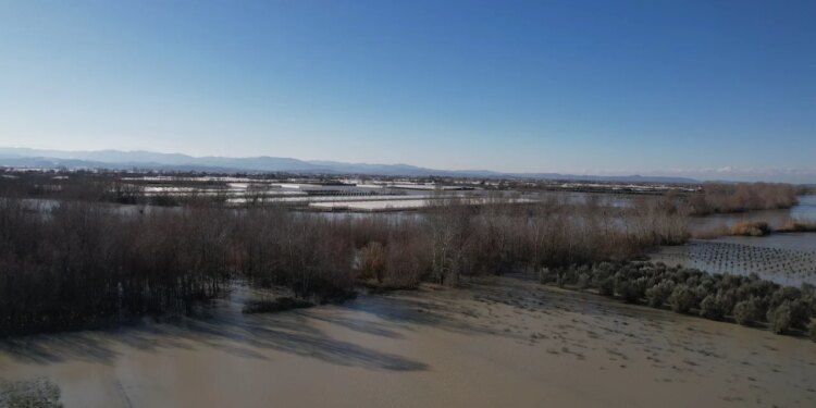 Mijëra hektarë land bujqësore të përmbytura në Lushnjë, uji vazhdon të qëndrojë në gjashtë fshatra. Banorët: Çdo bimë është shkatërruar.
