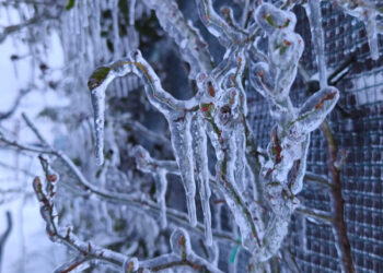 Ngjarje e rëndë ndodh sot në Kosovë - KOHA.net