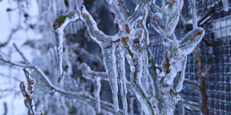 Ngjarje e rëndë ndodh sot në Kosovë - KOHA.net