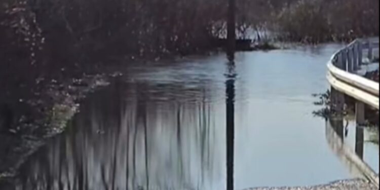 Përmbytjet në Shkodër, niveli i ujit po ulet në Obot, 945 hektarë tokë bujqësore nën ujë.