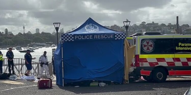 Peshkaqeni sulmon një djalë 12-vjeçar në Australi, ai shpallet në gjendje të rëndë dhe dërgohet në spital.