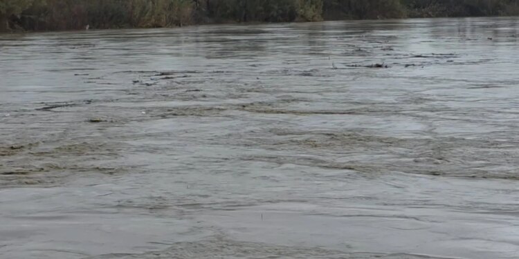 Problemet nga reshjet në Fier, lumi Seman thyen digat dhe uji inundon tokat bujqësore të banorëve të zonës.
