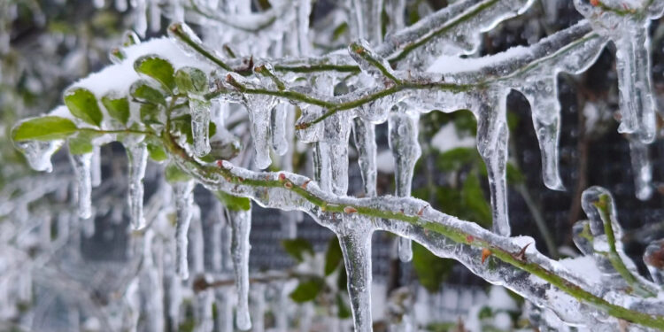 Protestë sot në Kosovë - KOHA.net