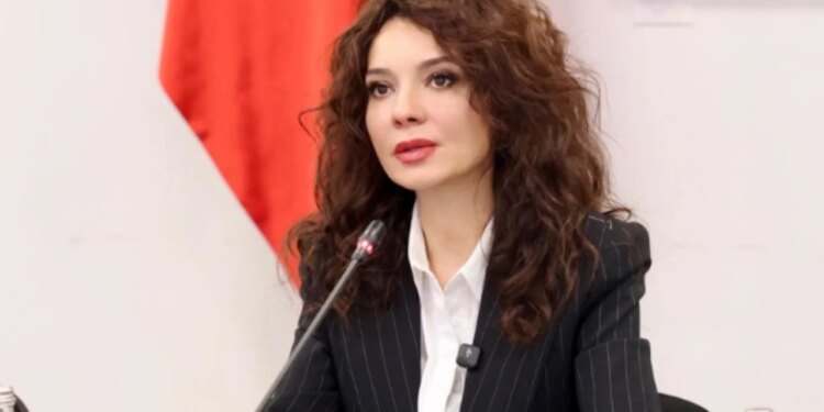 "Roli i diasporës në zhvillimin e vendit" / Spiropali në takimin me Këshillin Koordinues: Samiti i IV-t i Diasporës do të mbahet në prill.